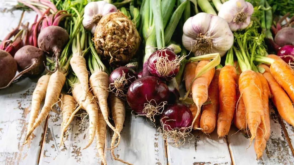 Root Vegetables: வேர் காய்கறிகளை சாப்பிடுவது உண்மையில் எடையை குறைக்க உதவுமா?
