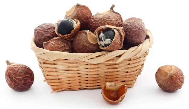 Soap Nuts Benefits: தலைமுடிக்கு மட்டுமில்ல... பூந்திக்கொட்டை அள்ளி, அள்ளி கொடுக்கும் சீக்ரெட் நன்மைகள் பத்தி தெரிஞ்சிக்கோங்க...!