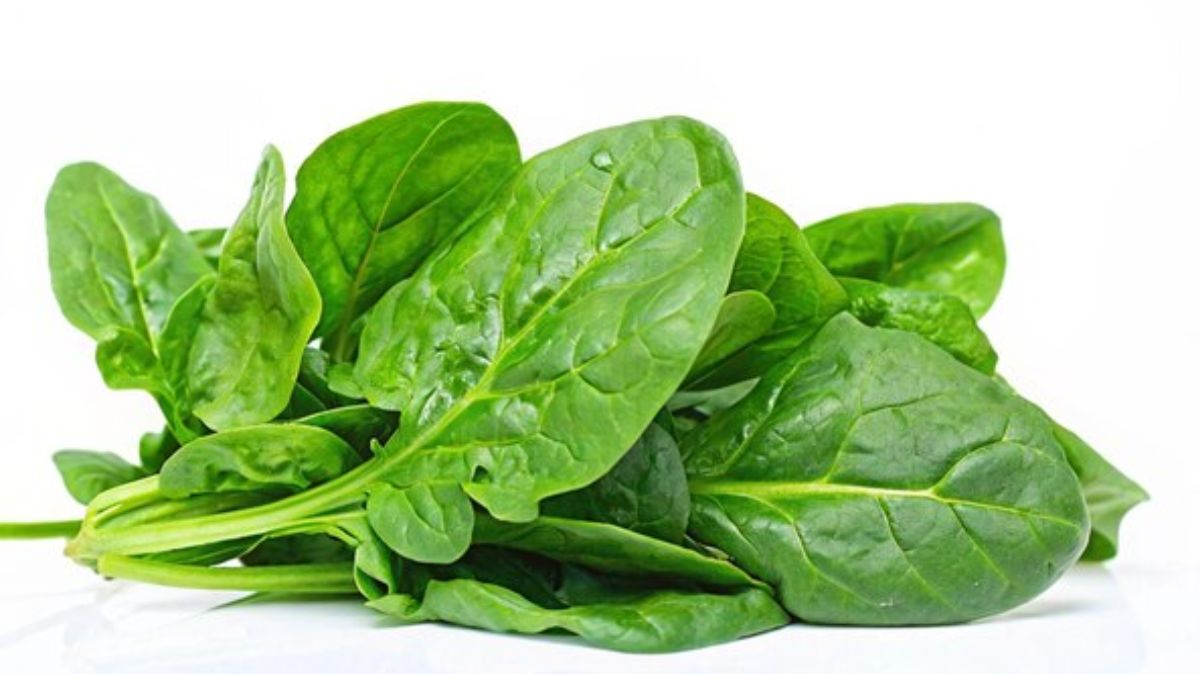 artical - 2025-03-08T123432.519