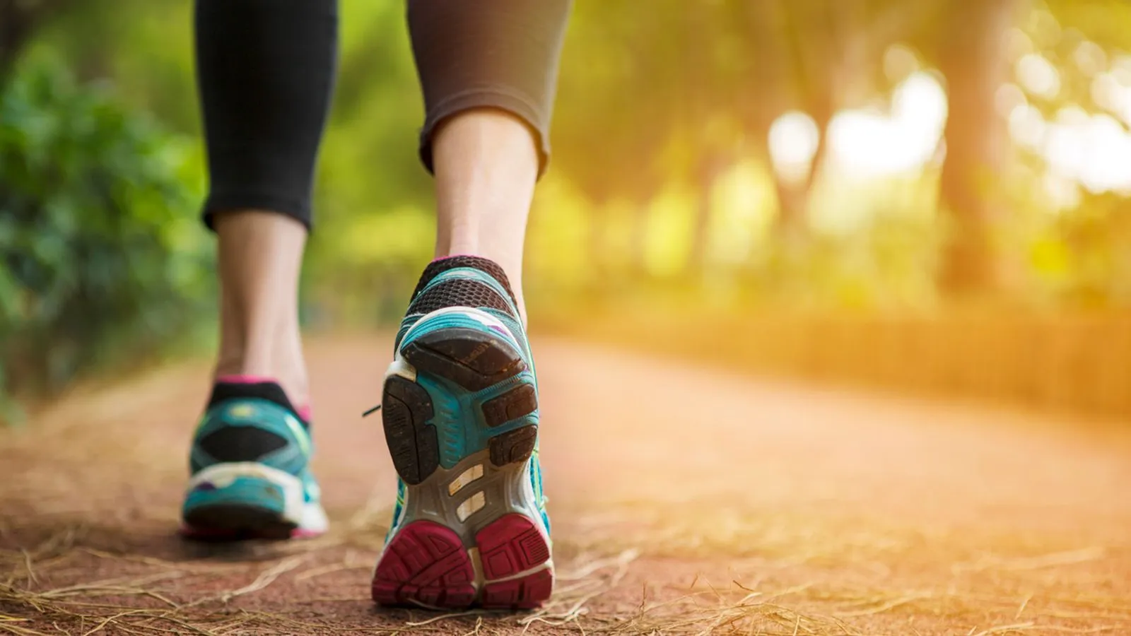 Walking Workouts: இவர்கள் எல்லாம் மருத்துவரின் அனுமதி இல்லாமல் நீண்ட தூரம் நடக்க கூடாது!