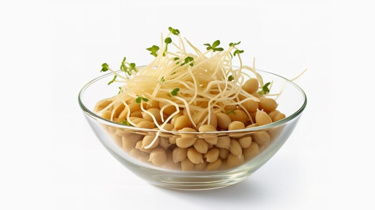 artical  - 2025-03-10T134533.731