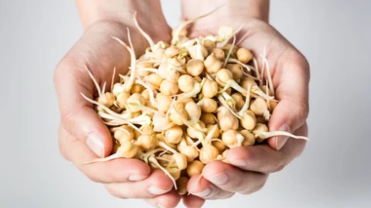 artical  - 2025-03-10T134753.774