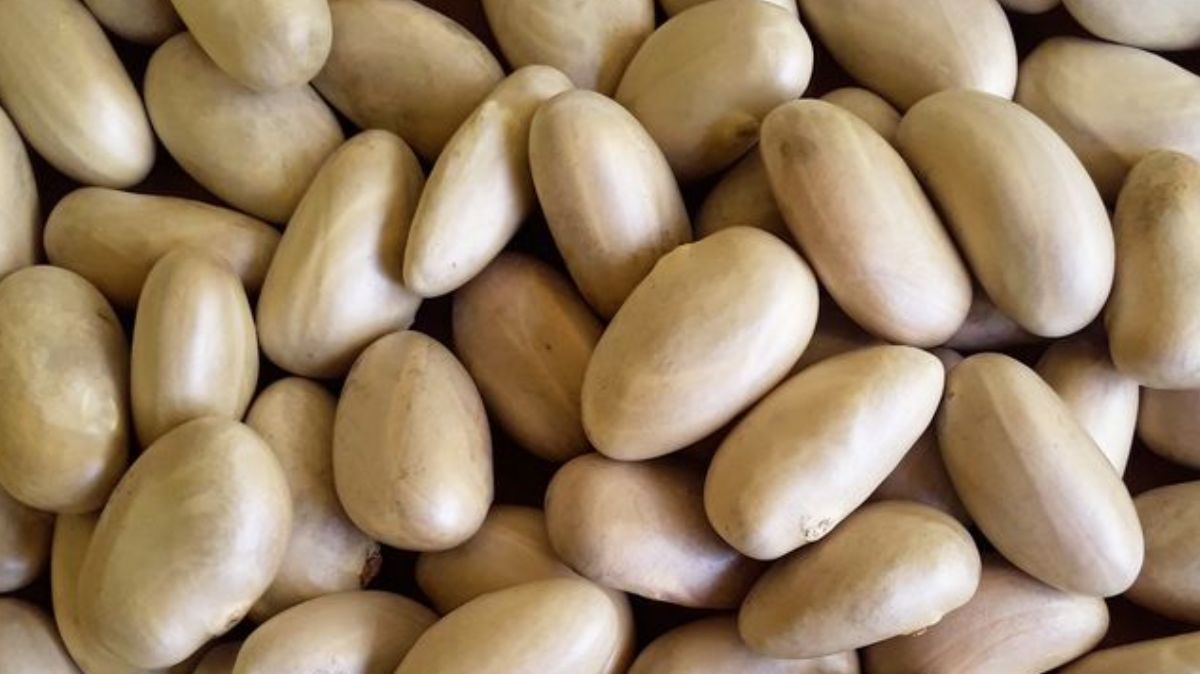 artical - 2025-03-10T193917.033