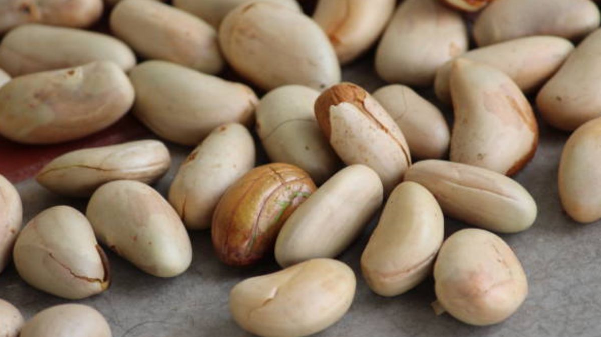 artical - 2025-03-10T193939.357