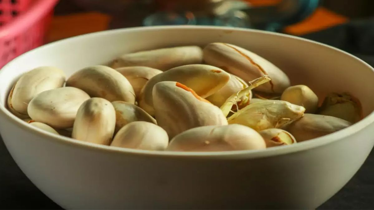 artical - 2025-03-10T194354.852