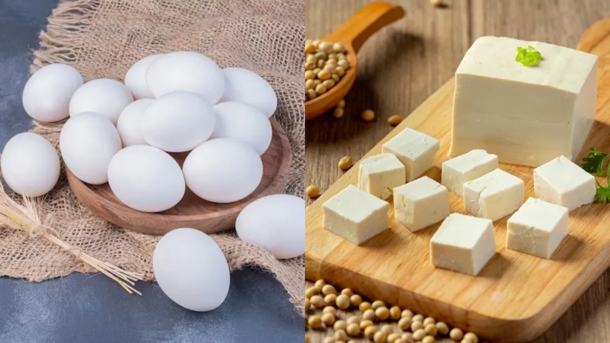 முட்டை Vs பனீர்... உடல் எடையைக் குறைக்க எது சிறந்தது தெரியுமா?