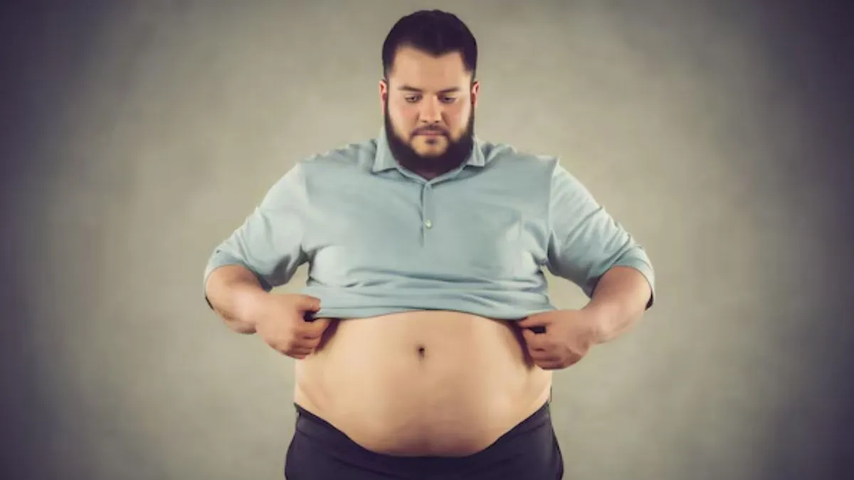 Belly Fat Reasons: குறைவான உணவை சாப்பிட்ட பிறகும் தொப்பை அதிகரிப்பதற்கு என்ன காரணம்!

