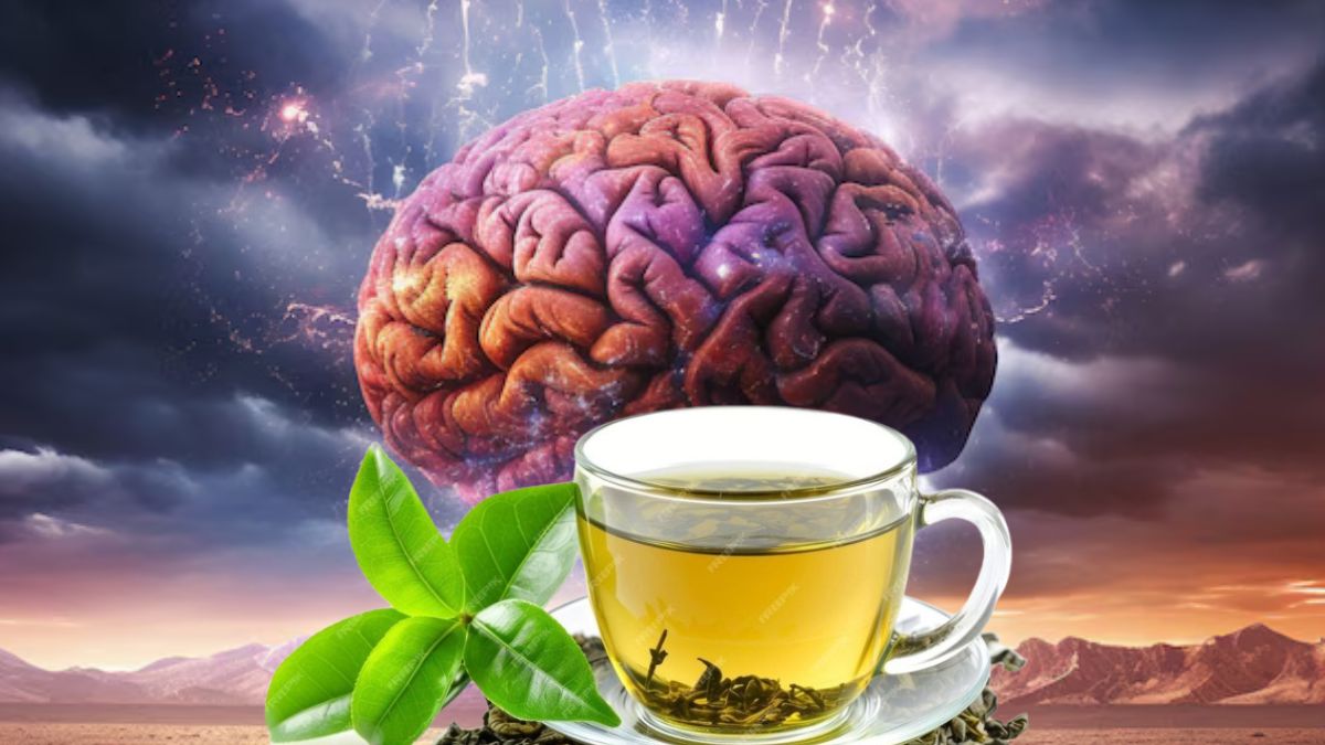 brain power increase food
