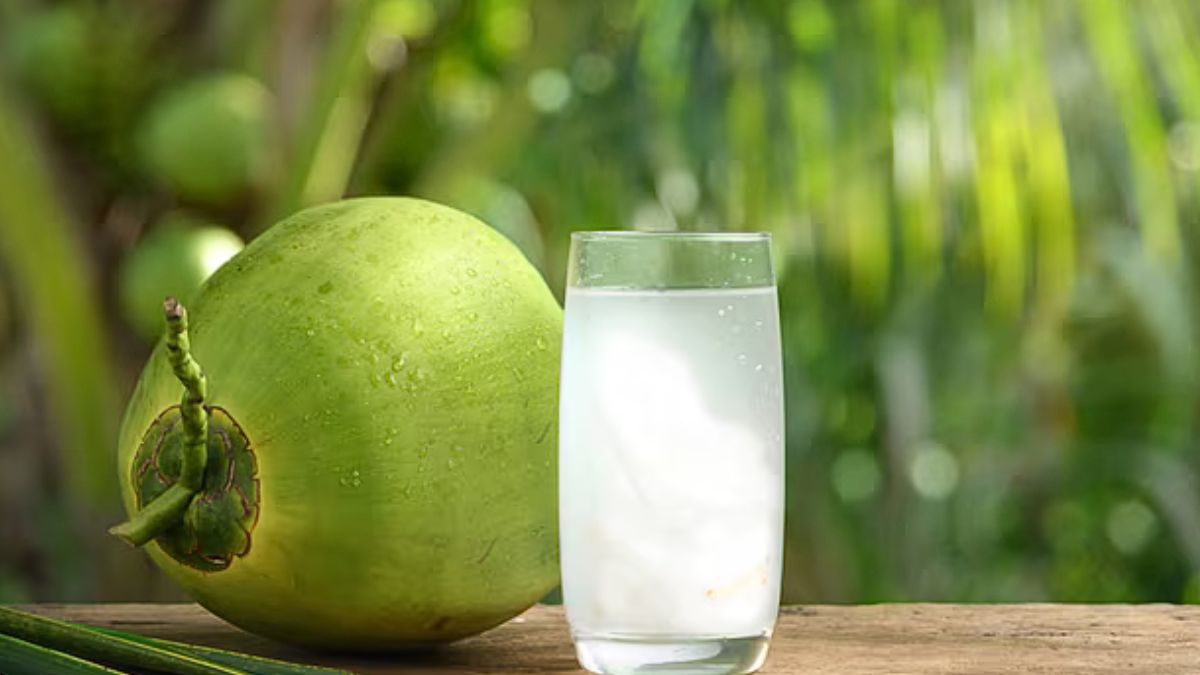 does-tender-coconut-water-reduce-body-heat