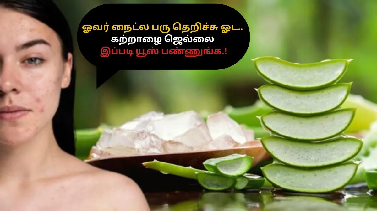 ஓவர் நைட்ல பரு தெறிச்சு ஓட.. கற்றாழை ஜெல்லை இப்படி யூஸ் பண்ணுங்க.!
