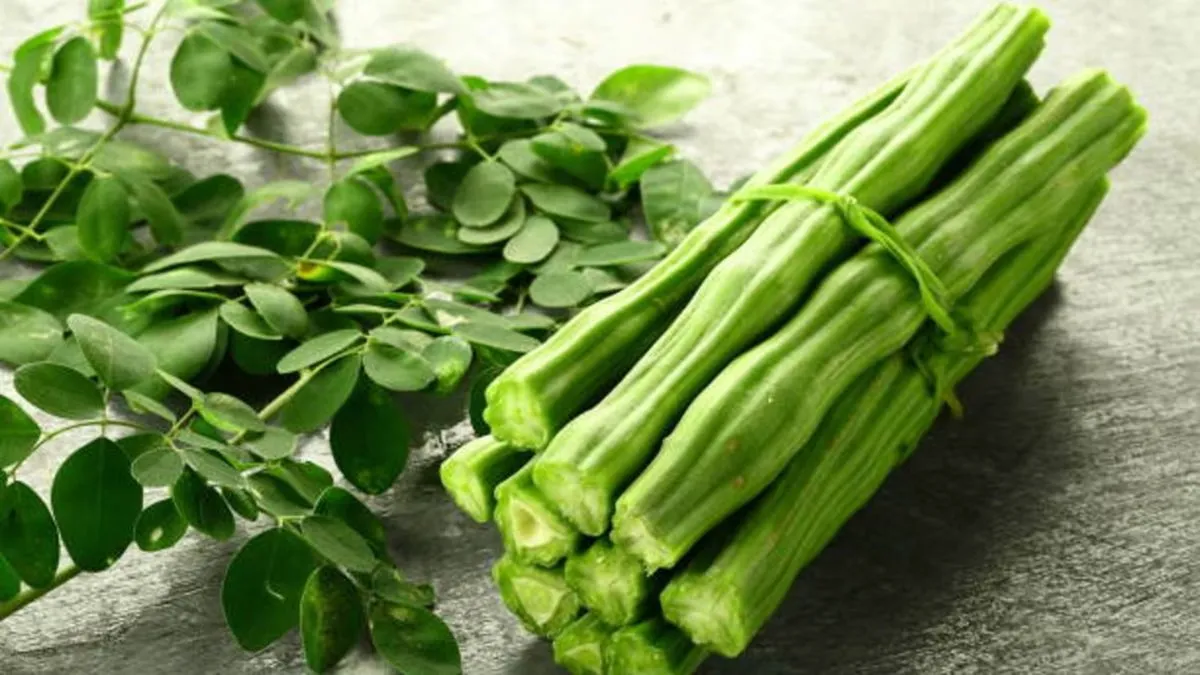 Drumsticks benefits: உங்க உணவில் முருங்கைக்காயை கட்டாயம் சேர்ப்பதால் இந்த பிரச்சனையிலிருந்து தள்ளி நிற்கலாம்