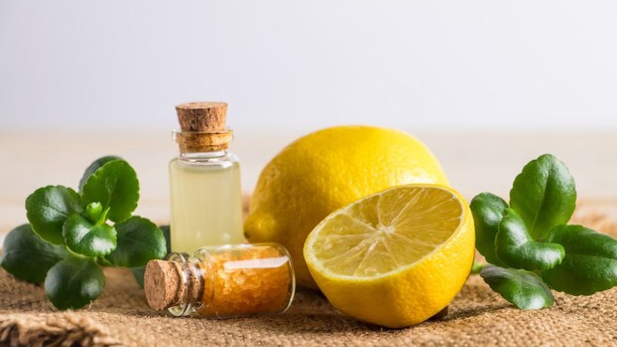 artical - 2025-03-23T211912.830