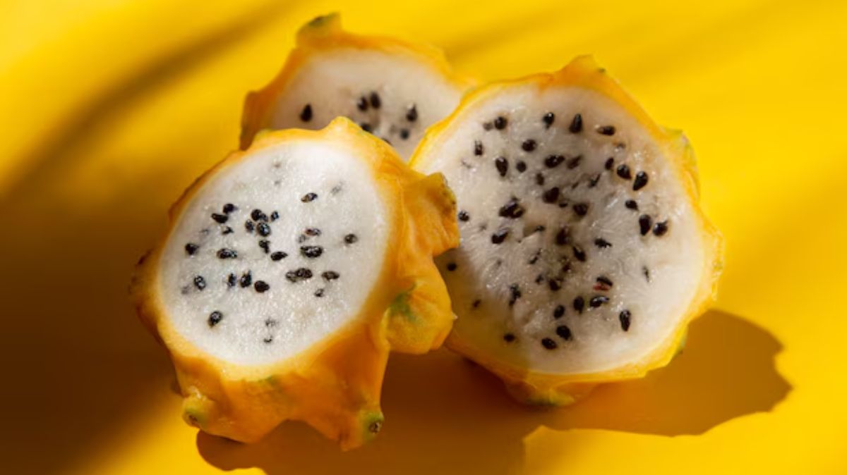 artical  - 2025-03-24T104055.815