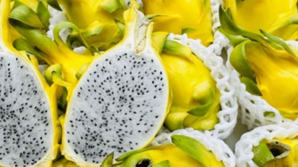 artical  - 2025-03-24T104145.757