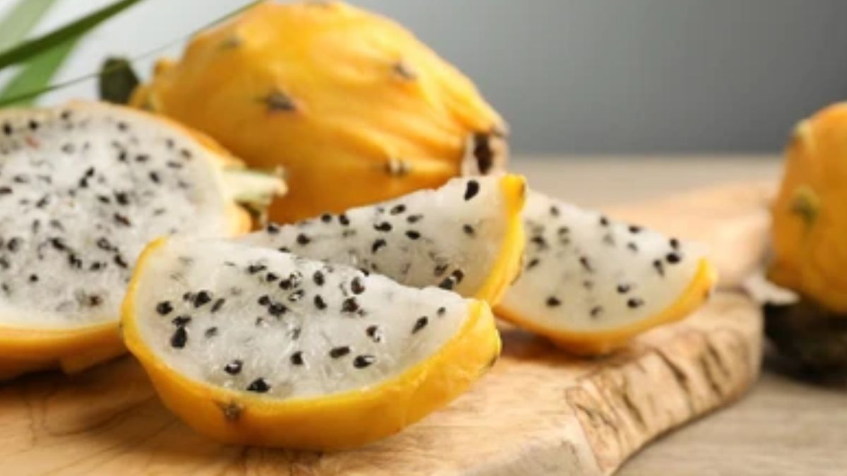 artical  - 2025-03-24T104216.865