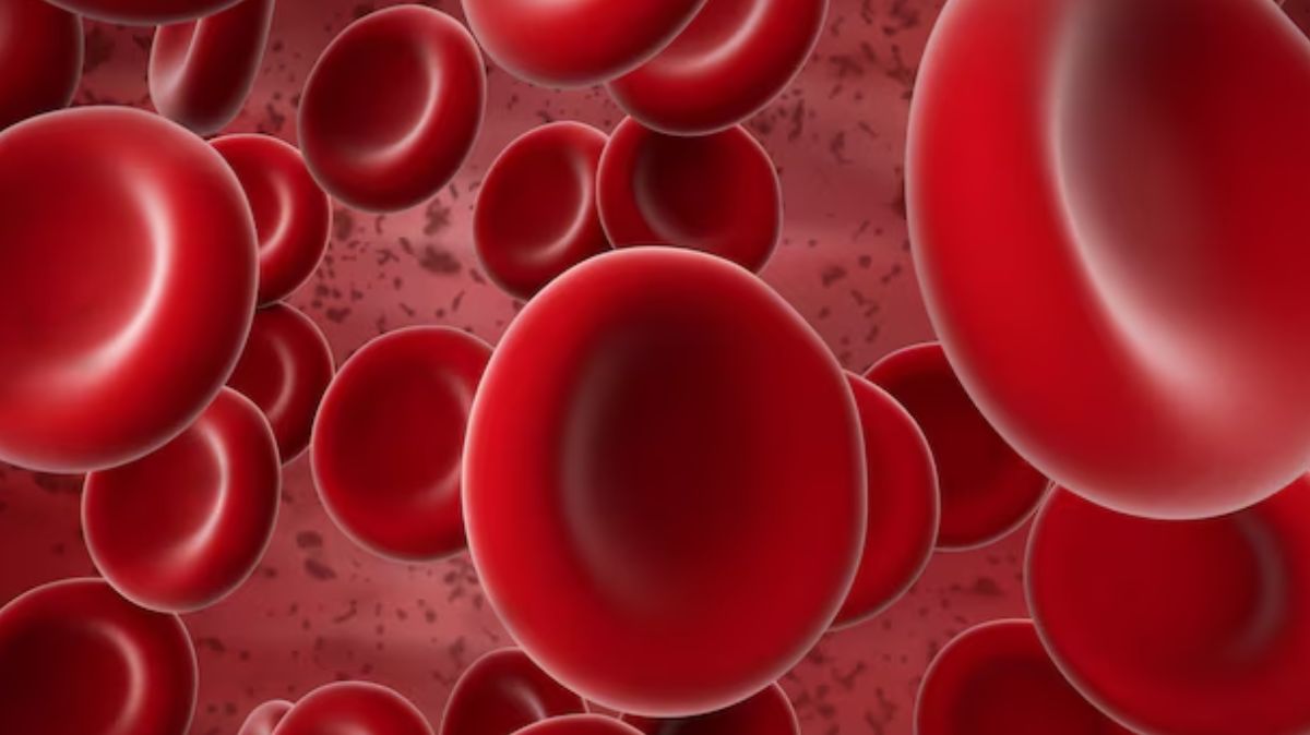 artical  - 2025-03-25T092843.584