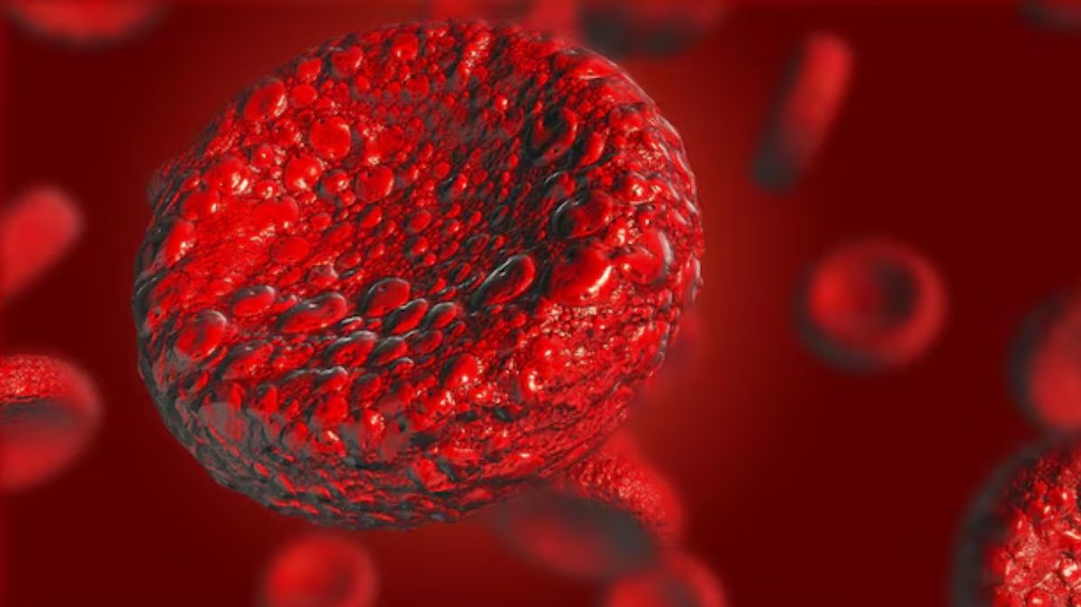 artical  - 2025-03-25T092901.490