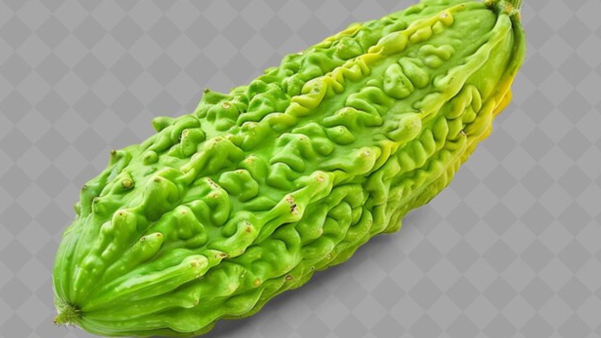 Untitled design - 2025-03-26T221351.355