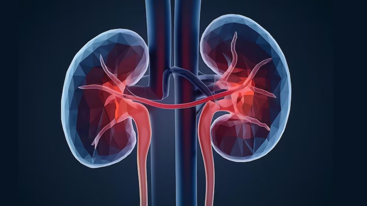 artical - 2025-03-26T120402.064