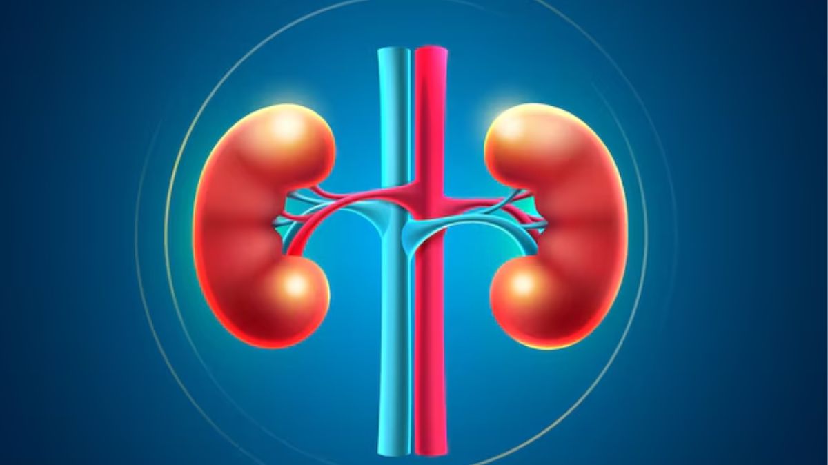 artical - 2025-03-26T120518.658