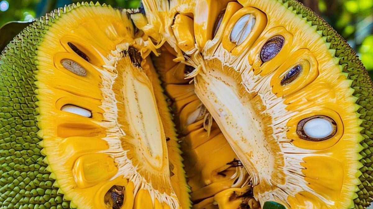 Which-fruit-is-best-for-weight-loss