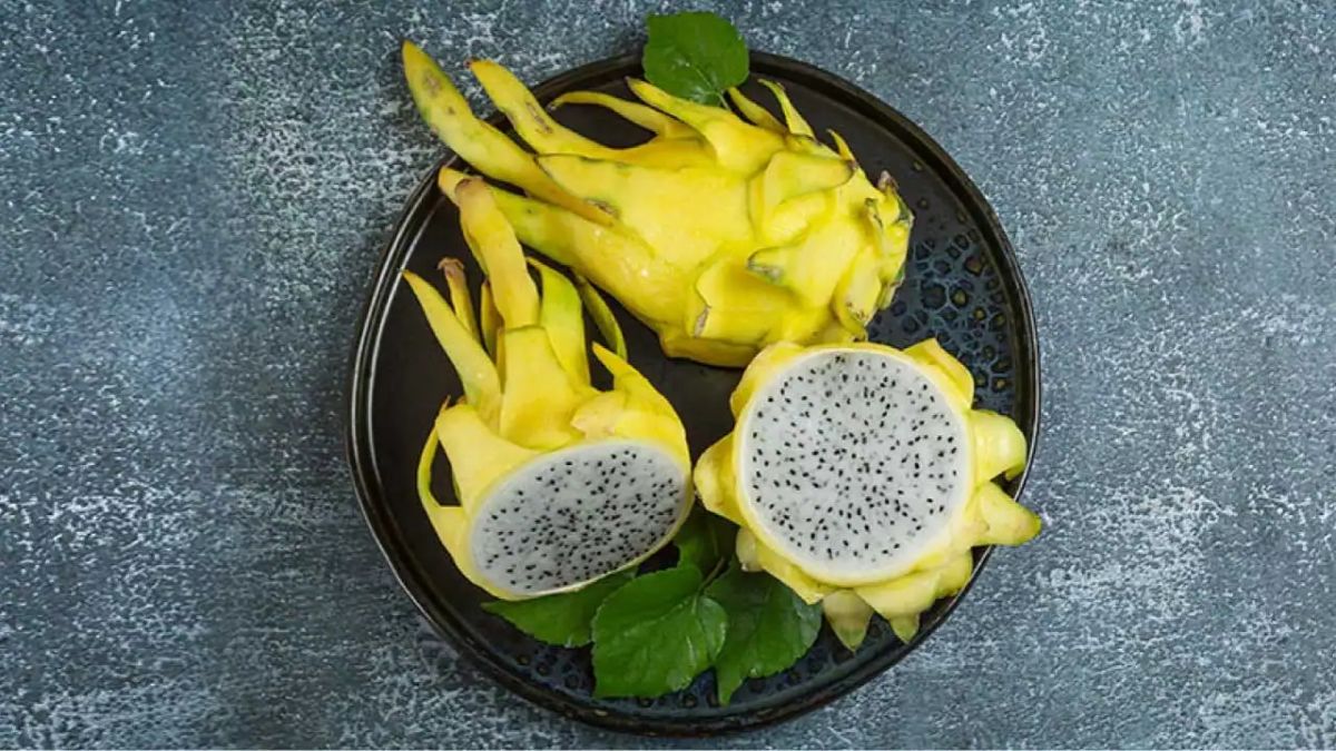 yellow dragon fruit (1)