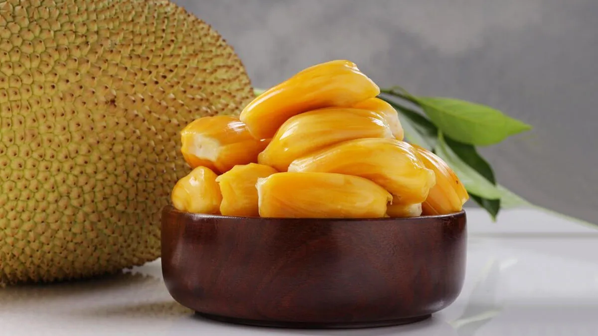 Jackfruit Benefits: கொலஸ்ட்ரால் உள்ளவர்கள் பலாப்பழம் சாப்பிடலாமா? இது ஆரோக்கியத்திற்கு நல்லதா?