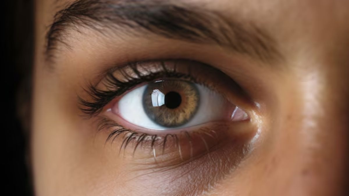 artical  - 2025-04-02T102320.871