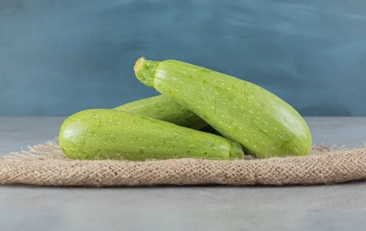 Bottle gourd  in summer: கோடைகாலத்தில் சுரைக்காய் சாப்பிடுவதால் உடலுக்கு கிடைக்கும் நன்மைகள் என்னென்ன?