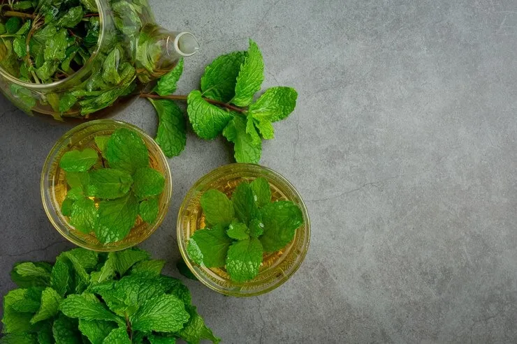 Mint leaves in Summer Diet: கோடை வெப்பத்தில் இருந்து தப்பிக்க புதினா இலைகளை இப்படி பயன்படுத்துங்க!