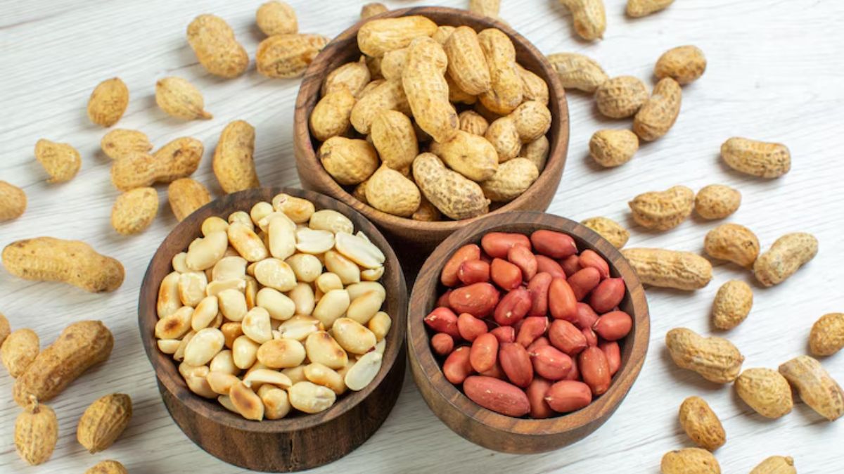 artical - 2025-04-05T150408.199