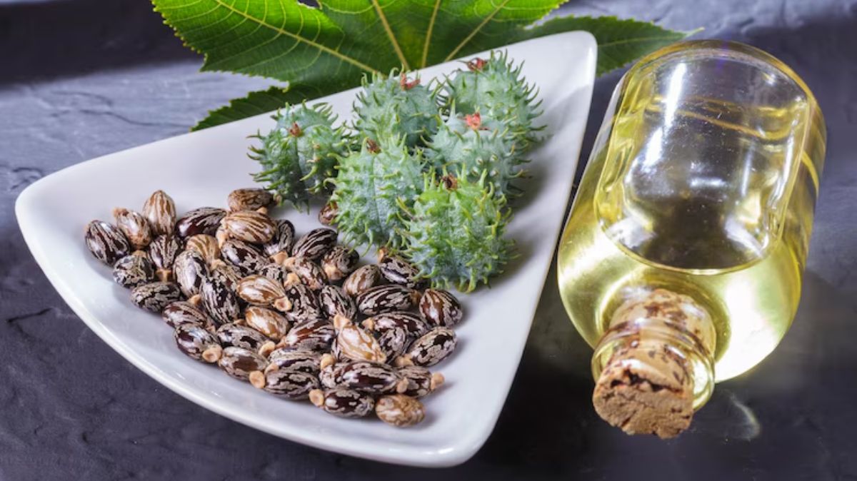 artical - 2025-04-06T132133.498