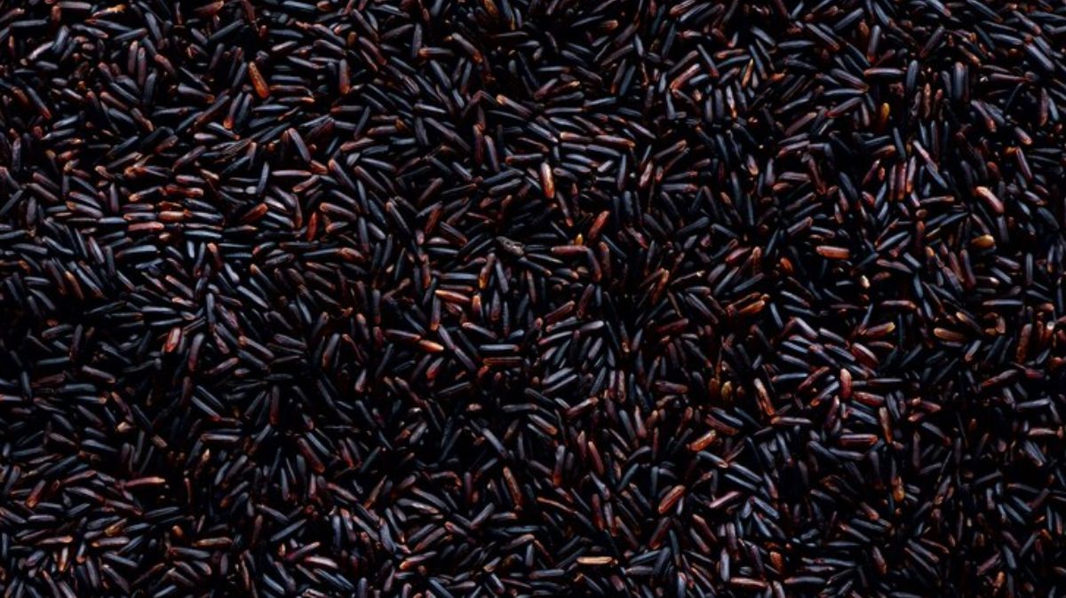 artical  - 2025-04-07T184720.481