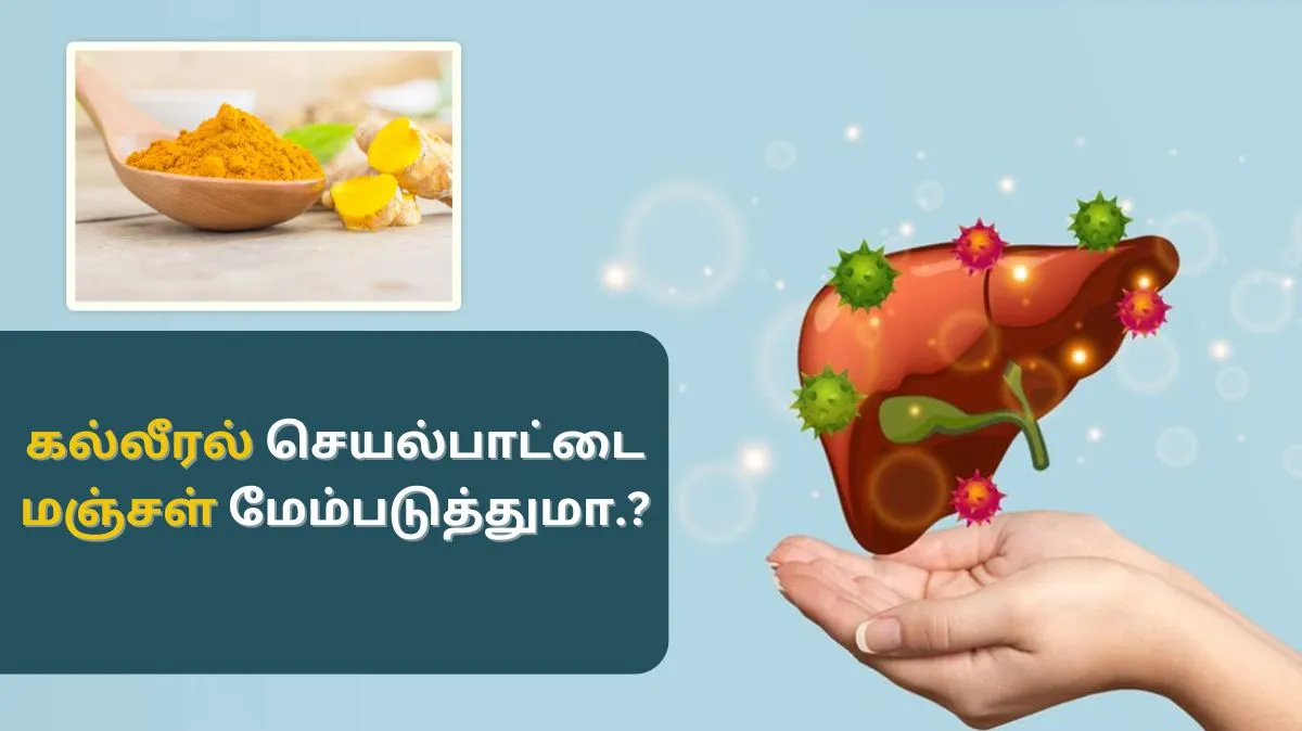 கல்லீரல் செயல்பாட்டை மஞ்சள் மேம்படுத்துமா.?