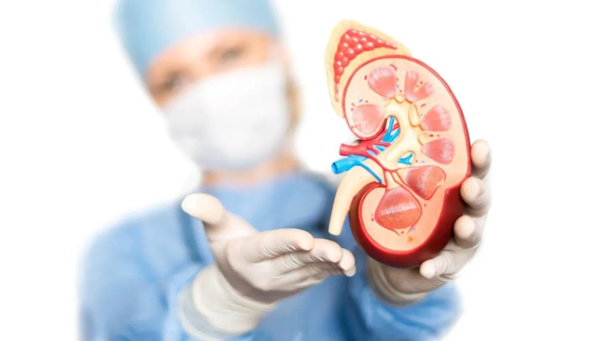 Hydronephrosis: உங்களுக்கு இந்த 5 அறிகுறிகள் தோன்றுகிறதா? உஷார் சிறுநீரக பாதிப்பாக இருக்கலாம்!