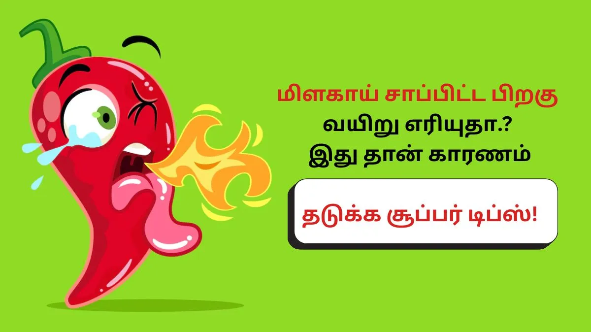மிளகாய் சாப்பிட்ட பிறகு வயிறு எரியுதா.? காரணமும்.. தடுக்கும் வழிகளும் இங்கே..
