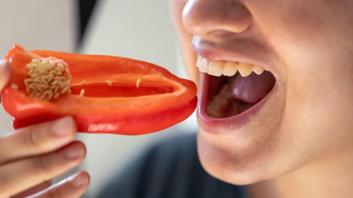 artical  - 2025-04-09T162322.872