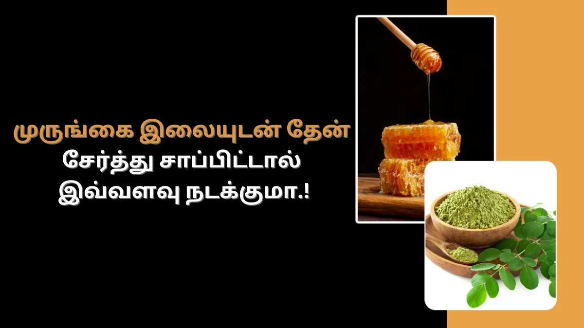 முருங்கை இலையுடன் தேன் சேர்த்து சாப்பிட்டால் இவ்வளவு நடக்குமா.!