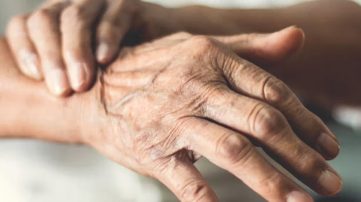 artical  - 2025-04-11T104732.519