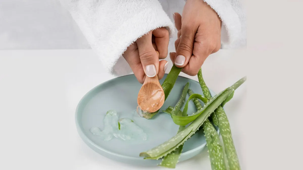 Aloe Vera: காயங்களை குணப்படுத்த கற்றாழை உதவுமா? இதை எப்படி பயன்படுத்துவது?