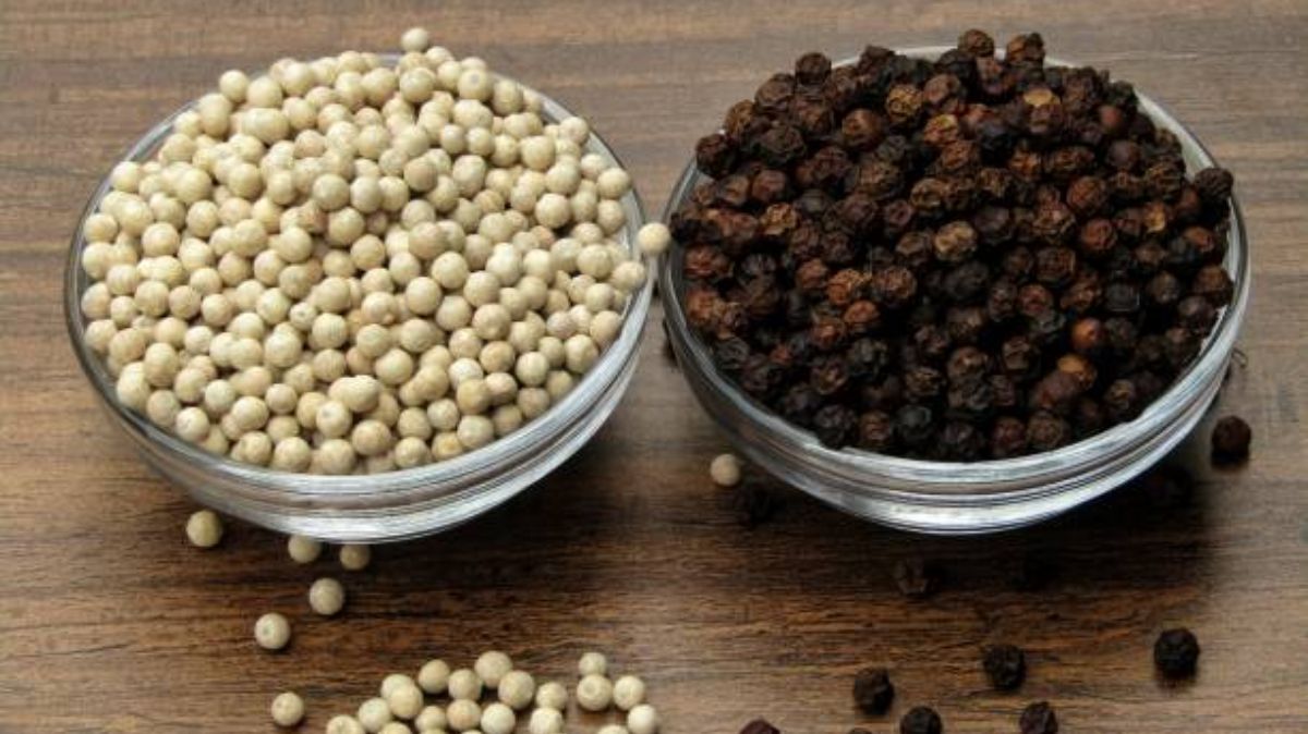 artical  - 2025-04-14T115156.988