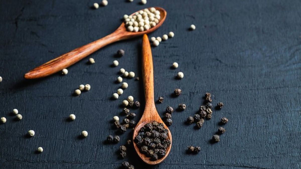 artical  - 2025-04-14T115221.024