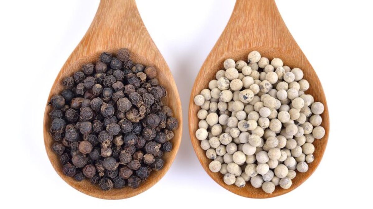 artical  - 2025-04-14T115244.829