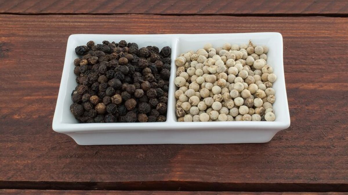 artical  - 2025-04-14T115824.037