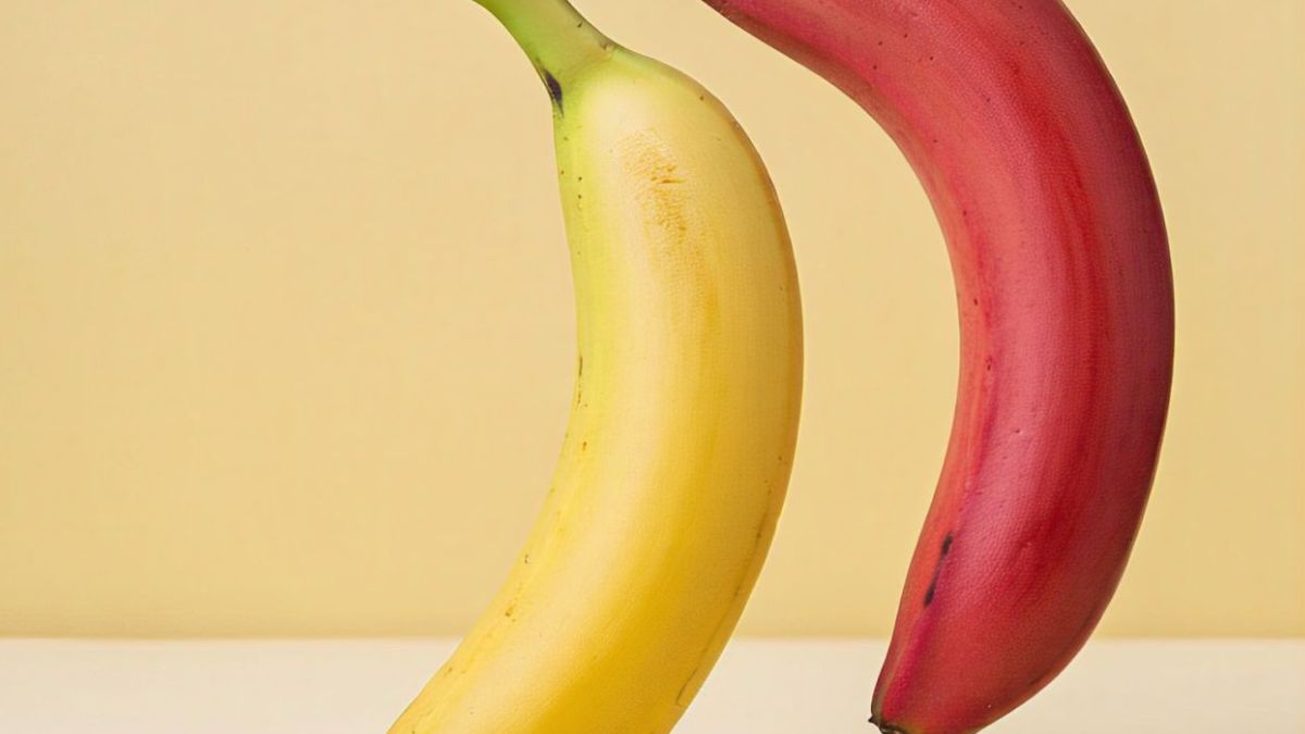 types-of-banana-in-tamil