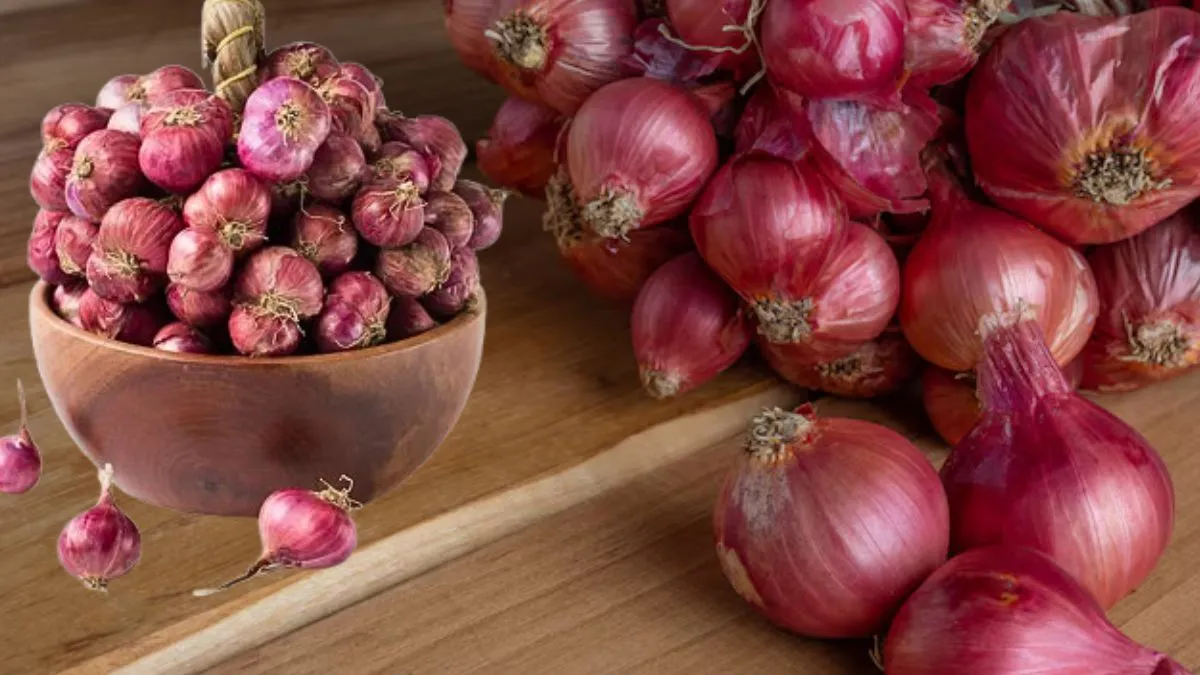 Small Onion Vs Big Onion: கோடையில் உடல் சூட்டை குறைக்க எது பெஸ்ட்? சின்ன வெங்காயமா, பெரிய வெங்காயமா?