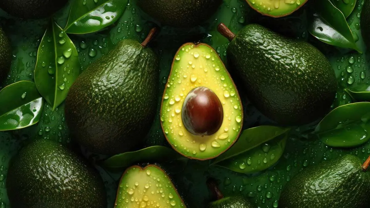 Benefits of Avocado: எடை இழப்பு முதல்.. நீரிழிவு மேலாண்மை வரை.. அவகேடோ நன்மைகள் இங்கே..