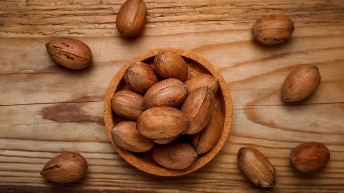 artical - 2025-04-22T115215.885