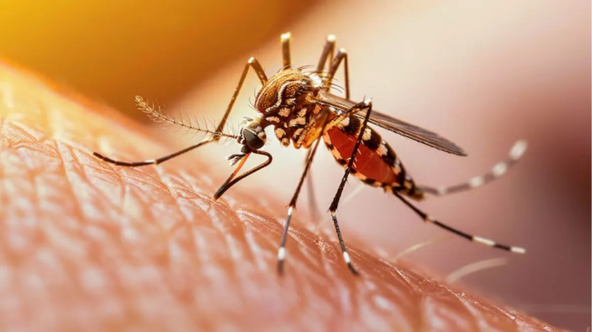 World Malaria Day 2025: மலேரியாவில் இரத்த சோகையை சமாளிக்க இந்த உணவுகளை சாப்பிடுங்க..