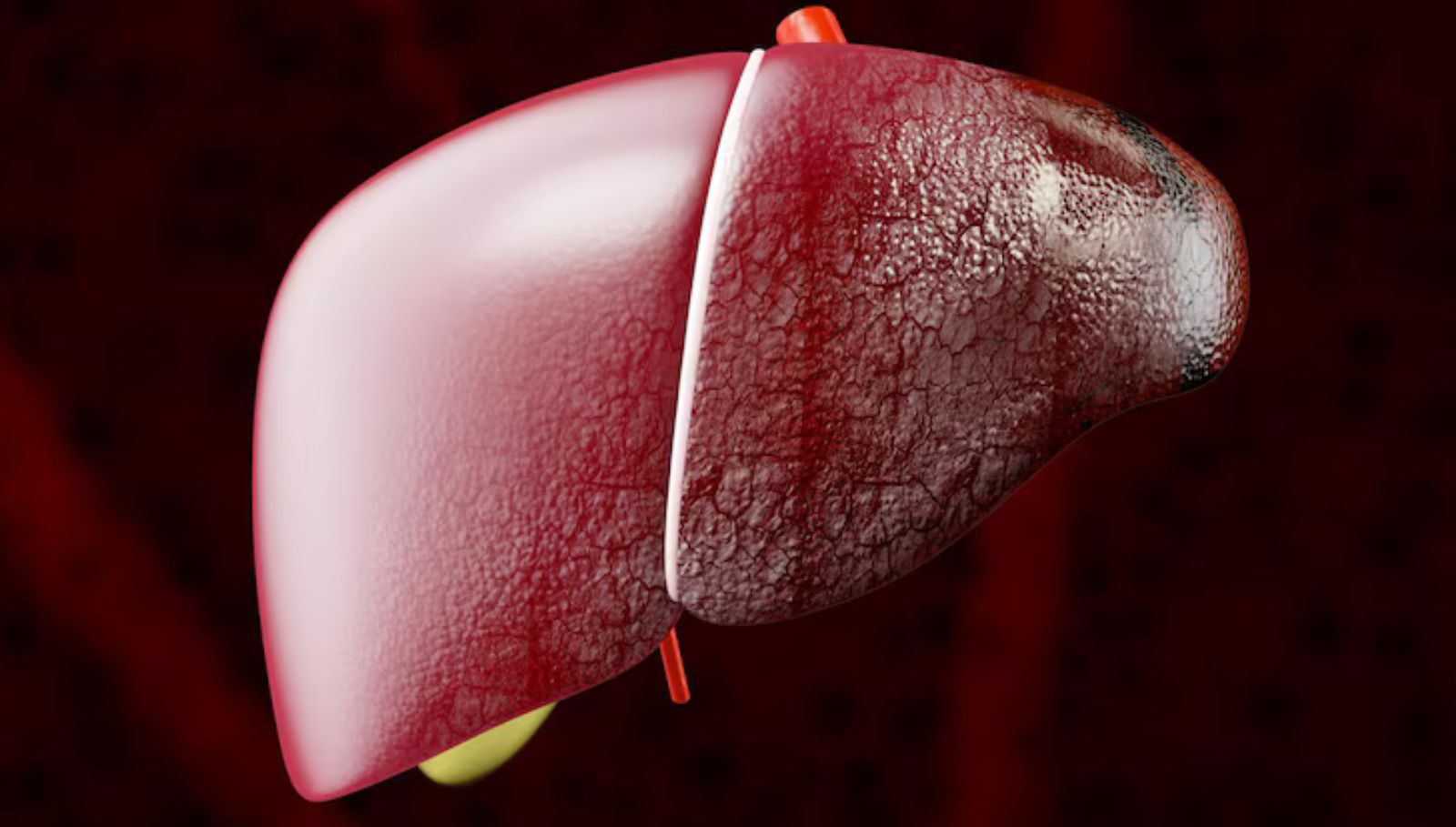 liver-disease-symptoms-tamil